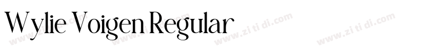 Wylie Voigen Regular字体转换